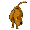 dog1.gif (10963 bytes)